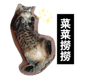 856365109