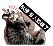 856365115