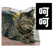856365122