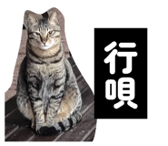 856365133