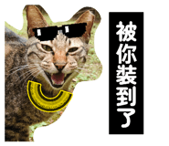 856365142