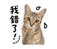 856366201