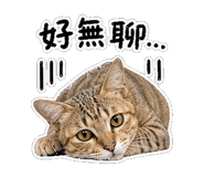 856366208