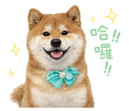 856366922