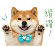 856366926