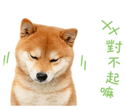 856366928