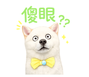 856366935
