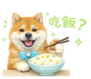 856366939