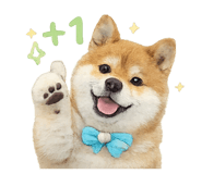 856366942