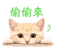 856366946