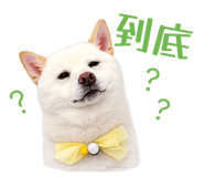 856366948