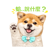 856366954