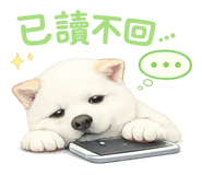 856366959