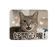 856367225