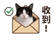 856367254