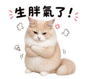 856367323