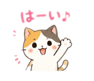 856367798