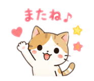 856367811