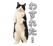 856367980