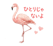 856368242