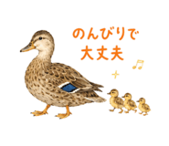 856368247