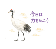856368249