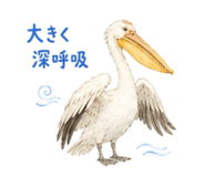 856368255