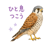 856368257