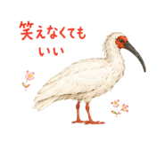 856368259