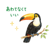 856368260