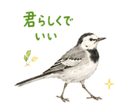 856368262
