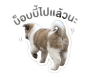 856369315