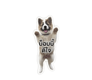 856369317