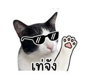856369990