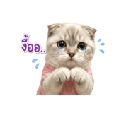 856370215