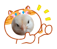 856370395
