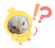 856370401