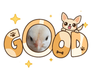 856370406