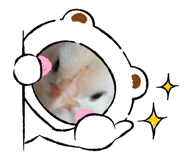 856370407