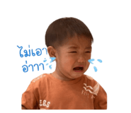 856370462