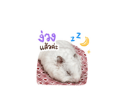856370573