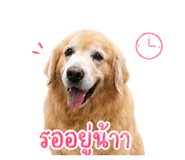 856370610