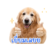 856370614
