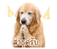 856370616