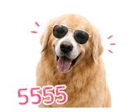 856370619