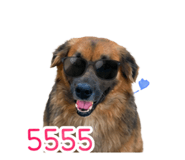 856370631