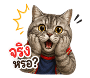 856370637