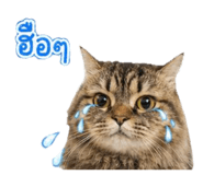 856370968