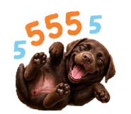 856378346
