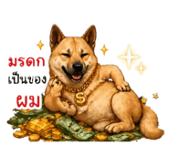 856380065